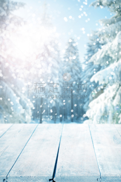 大风雪,冬天,木制,厚木板,无人,背景,树林,雪,地形,冻结的