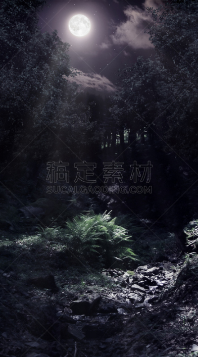 树林,月光,垂直画幅,夜晚,无人,月亮,超现实主义的,阴影,气候与心情,超自然
