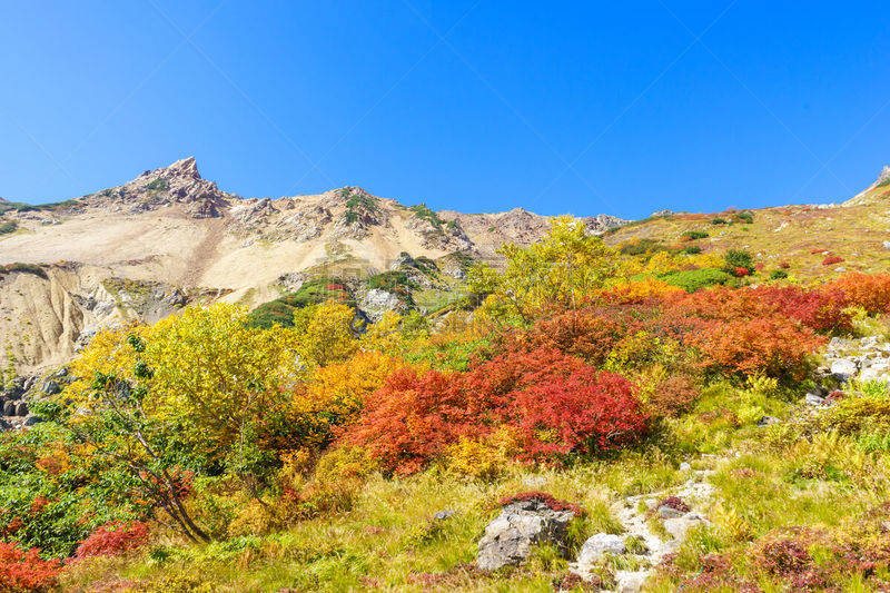 天空,秋天,蓝色,叶子,白马岳,飞驒山脉,长野县,美,里山,休闲活动