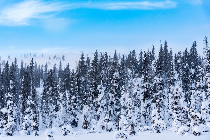 拉普兰,冬天,地形,芬兰,正面视角,天空,休闲活动,水平画幅,雪,美人