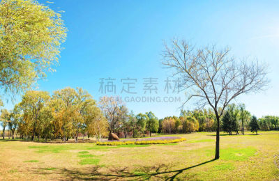 秋天,爱达荷公园岛,日光,哈尔滨,公园,水平画幅,无人,九月,早晨,草坪