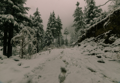 雪,喜马拉雅山脉,路,与众不同,地形,户外,季节,冬天,白色,冻结的