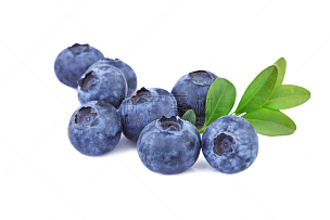蓝莓,叶子,绿色,留白,水平画幅,素食,无人,生食,维生素,夏天