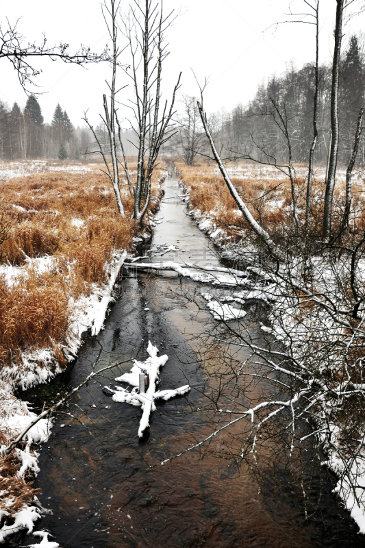 雪,枯萎的,草,白色,垂直画幅,风景,冬天,褐色,高视角,河岸