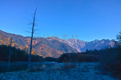 早晨,秋天,大正池,日本落叶松,松本,飞驒山脉,日本阿尔卑斯山脉,落叶松,水,里山