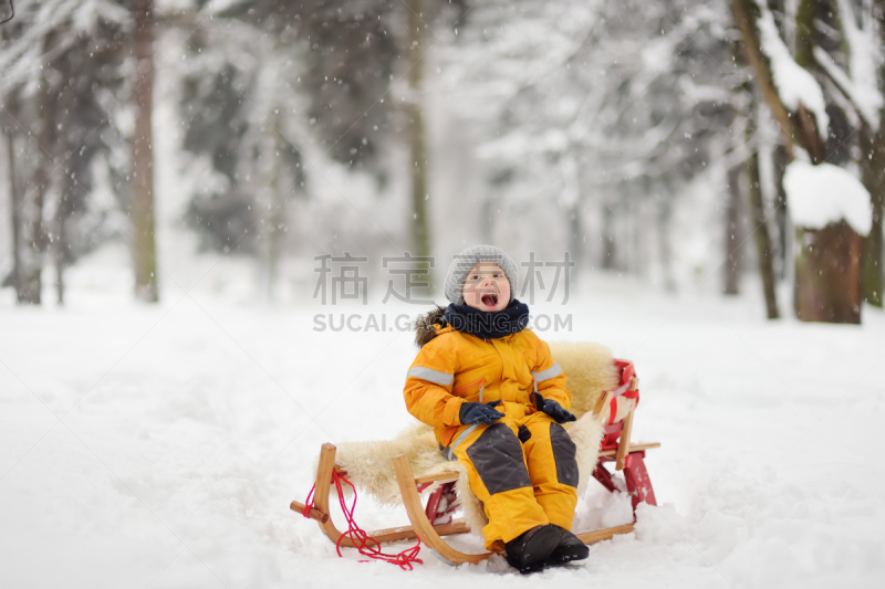 动物雪车,男孩,寒冷,雪橇滑学,运动,家庭,父母,一个人,霜,雪