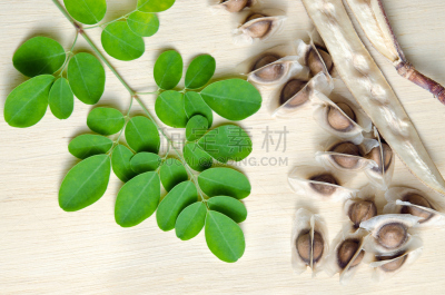 辣木植物,种子,叶子,背景,厚木板,自然,水平画幅,绿色,无人,有机食品