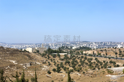 修道院,油橄榄树,耶路撒冷,田地,圣马洛,圣艾利亚斯山脉,elijah,自然,教堂,水平画幅