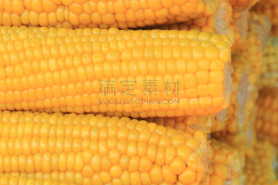 背景,甜玉米,农业,自然,有机食品,黄色,蔬菜,清新,健康食物,饮食