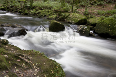 康沃尔,瀑布,河流,水,水平画幅,英格兰,旅行者,夏天,户外,树林