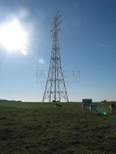 2002,易北河,平衡折角灯,堤岸,石勒苏益格-荷尔斯泰因,自然,垂直画幅,绿色,地形,秋天