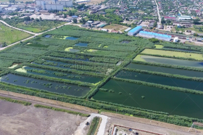 水,污水处理厂,地形,户外,白昼,柳条,混凝土,化学制品,式样,肮脏的