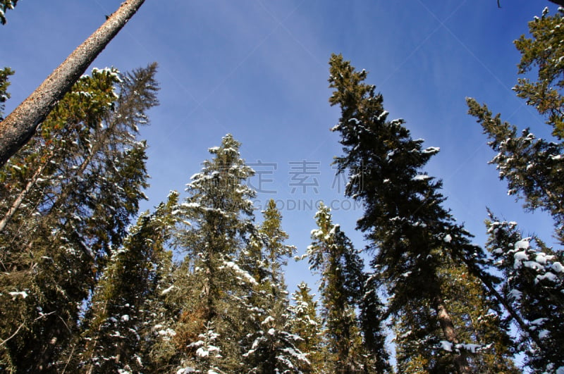 约翰斯顿峡谷,洛矶山脉,雪,自然美,天空,美,水平画幅,阿尔伯塔省,无人,早晨