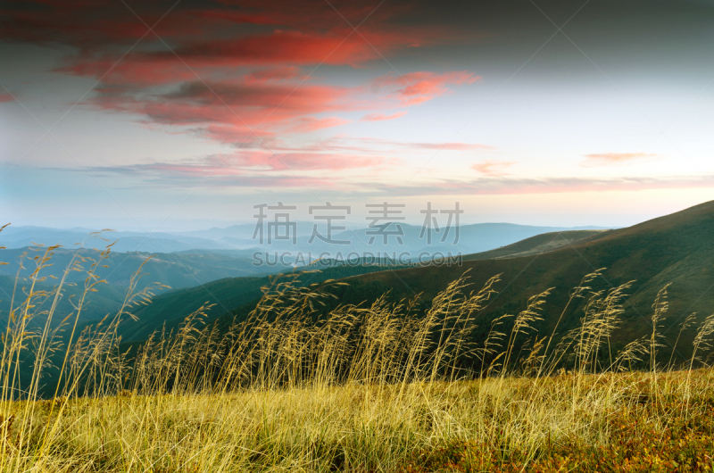 山,卡帕锡安山脉,地形,黄昏,乌克兰,高原,水平画幅,无人,夏天,户外