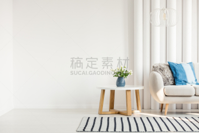 沙发,白色,蓝色,枕头,水平画幅,装管,无人,家庭生活,灯,家具