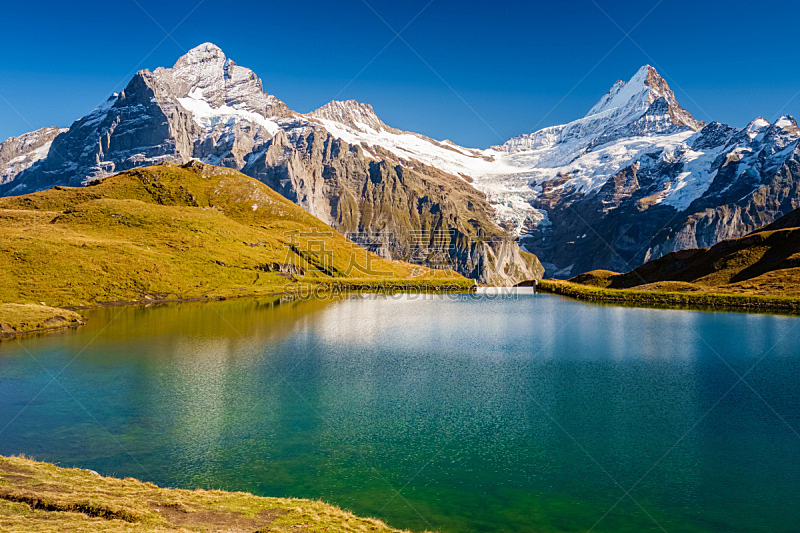 瑞士,徒步旅行,本尼斯阿尔卑斯山,格林德瓦,安静,山脊,草,户外,草地,山脉