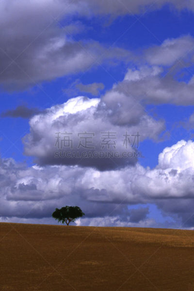 山,天空,在下面,积雨云,西班牙栓皮栎 ,阿连特茹,自然,垂直画幅,褐色,暴风雨