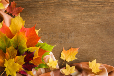 贺卡,想法,秋天,明信片,空的,季节,枫叶,文字,背景聚焦