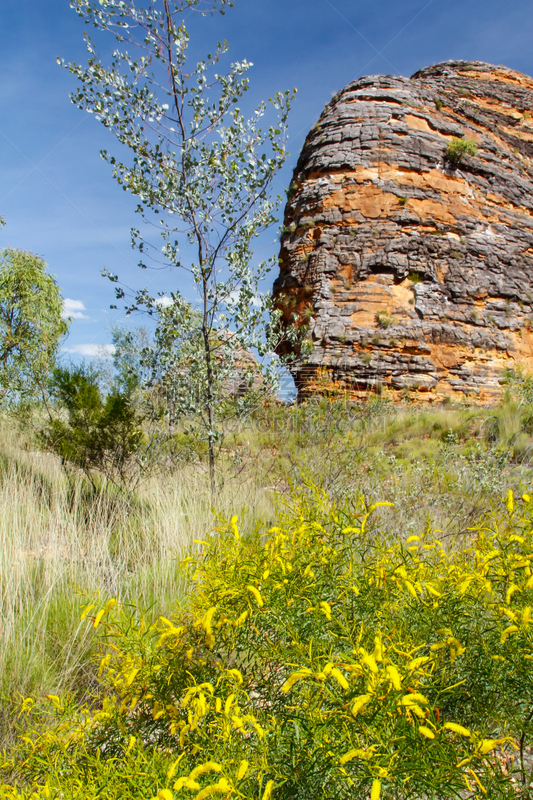 岩石,purnululu national park,三齿稃,红岩石,垂直画幅,西澳大利亚,无人,夏天,户外,干的