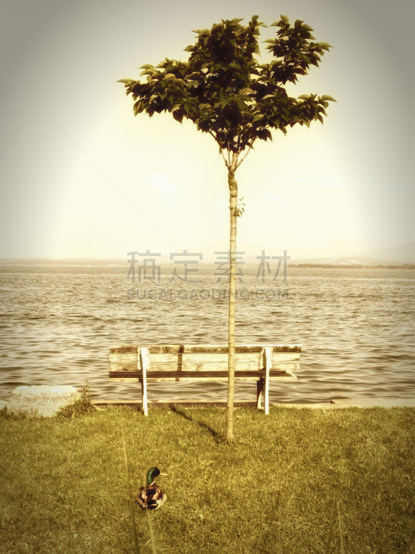 长椅,巴伐利亚塑像,西部乡村乐,垂直画幅,留白,公园,山,大西洋群岛,夏天,户外