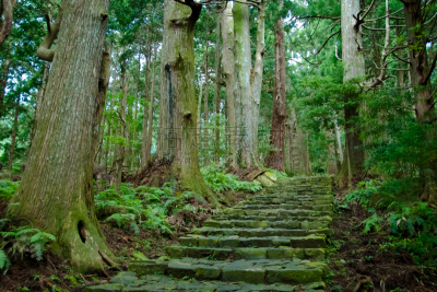熊野古道,小路,日本,灵性,自然,水平画幅,朝拜者,户外,拉奇瀑布,楼梯
