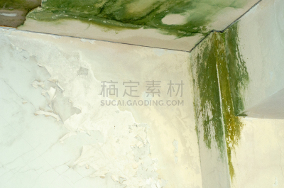 房屋,茂德,危险,砖,肮脏的,凌乱,霉病,乡村风格,水灾,建筑