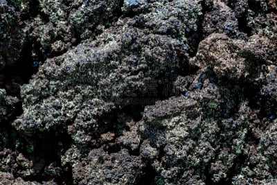 地衣,玄武岩,平视角,水平画幅,无人,火山地形,古老的,干的,特写,石头