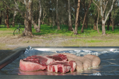 香肠,肉,烤肉架,公园,水平画幅,野餐,膳食,夏天,牛排,户外