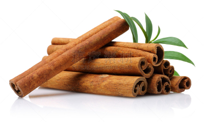 肉桂,白色,叶子,分离着色,绿色,健康保健,清新,背景分离,药,香料