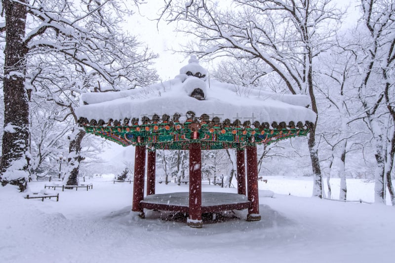 地形,冬天,首尔,韩国,自然,天空,寒冷,水平画幅,木制,雪