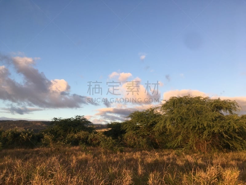 考艾岛,颇里希而海滩,路,摄像机拍摄角度,夏威夷大岛,尼豪岛,太平洋岛屿,波立黑州立公园,图像,美国