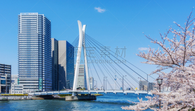 river sumida,樱桃树,居住区,城市生活,水道,著名景点,河流,东京天空树,户外,天空
