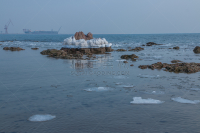 中国,海洋,冻结的,云,雪,船,动物,春天,海岸线,岩石