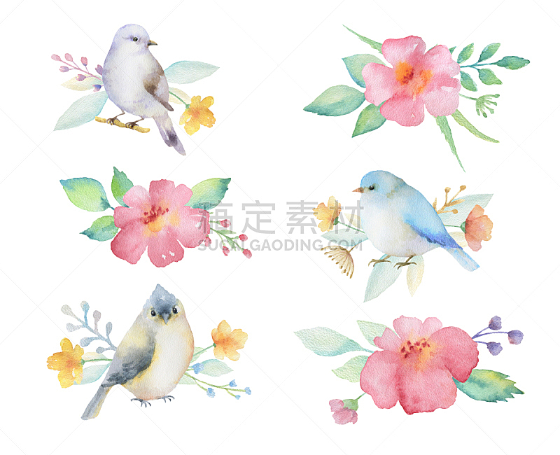鸟类,仅一朵花,花束,水彩画,绘画插图,艺术,水平画幅,无人,红腹灰雀