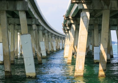 佛罗里达群岛,桥,两只动物,跨海公路,基韦斯特,墨西哥湾,主干路,水,水平画幅,无人