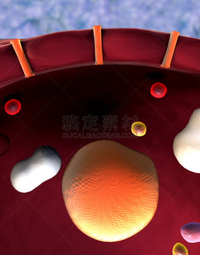 细胞结构,垂直画幅,人造的,循环元素,科学,计算机制图,计算机图形学,生物学,葡萄糖