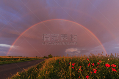 风景,三趾鸵鸟,风,暴风雨,气候,夏天,雨,黎明,光,地平面
