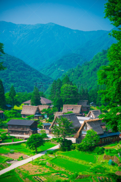 日本,富山县,农舍,农场,2018,夏天,户外,晴朗,城市,亚洲