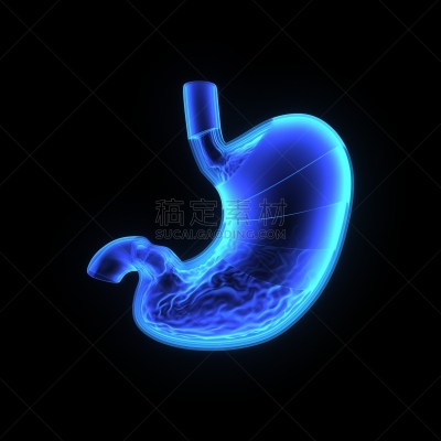 胃,形状,绘画插图,腹腔,科学,生物学,痛苦,溃疡,有序