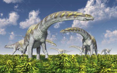 阿根廷龙,恐龙,古生物学,兽群,自然,天空,水平画幅,无人,食草动物,蓝色