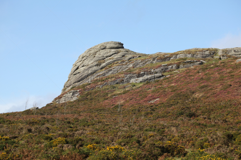 黑托岩,dartmoor,德文郡,自然,天空,留白,石南花,旅游目的地,水平画幅,地形