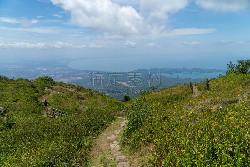 山,雨林,风景,尼加拉瓜,仅一朵花,尼加瓜拉湖,岛,格拉纳达,蒙巴丘火山自然保护区,带领