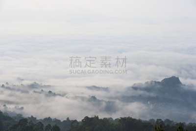 稻田,雾,早晨,格林威治村,有包装的,亚洲,自然,乡村,锥形帽,风