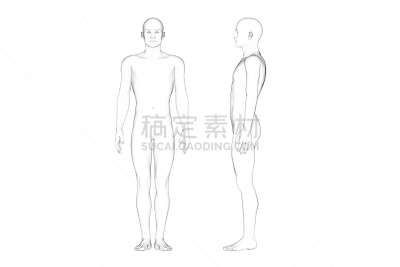 线条画,男性,白色背景,达芬奇,解剖模型,正面视角,绘画插图,艺术模特