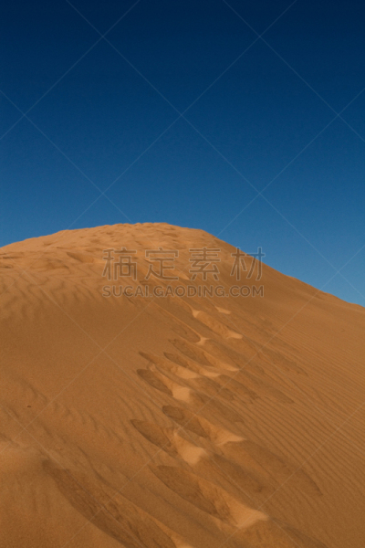 沙丘,沙漠,澳大利亚,垂直画幅,天空,沙子,无人,户外,干的,彩色图片