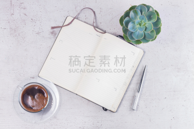 笔记本,开着的,空的,留言板,格记录纸,日记,白俄罗斯,肉质植物,水笔,书页