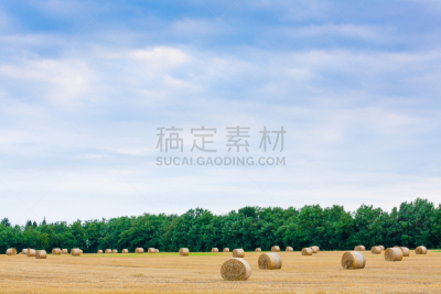 干草卷,圆形,全景,意大利,小麦,田地,巴勒斯特兰德,多云,天空,拖拉机