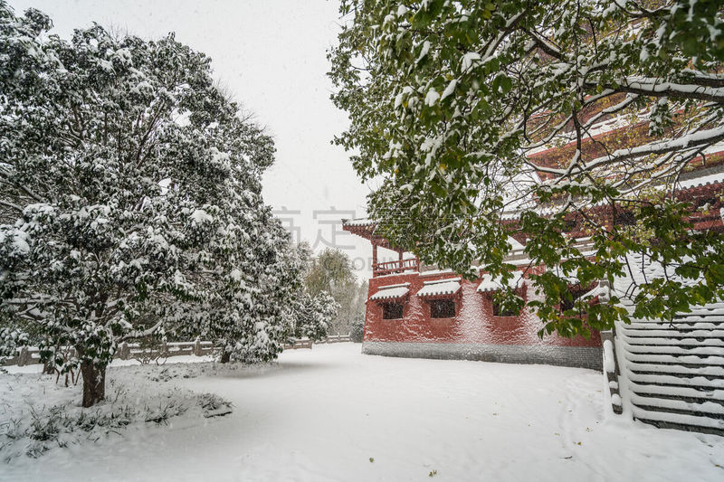 少林,寺庙,郑州,河南省,美,地形,灵性,水平画幅,雪,无人