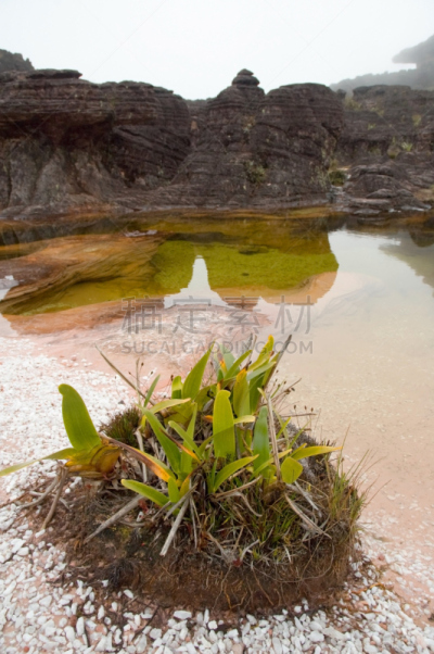 罗赖马山,地形,平顶山,canaima,圭亚那,垂直画幅,南美,水,无人,超现实主义的