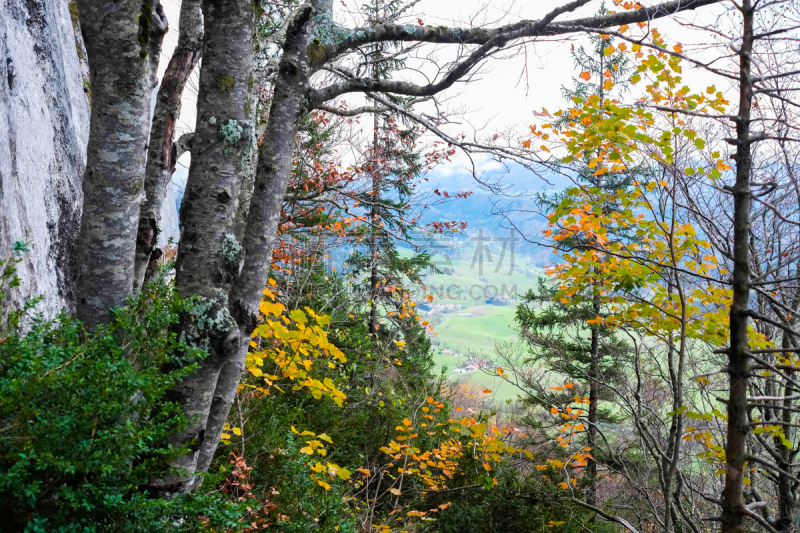 the vercors,秋天,自然,水平画幅,地形,无人,户外,树林,伊泽尔河,黄色